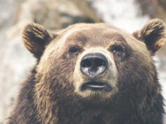 Corn With Coffee Is One Of My Favorites